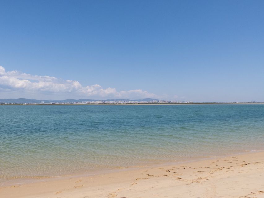 From Faro: 2-Hour Guided Bird Watching Boat Trip - Key points to know before you go