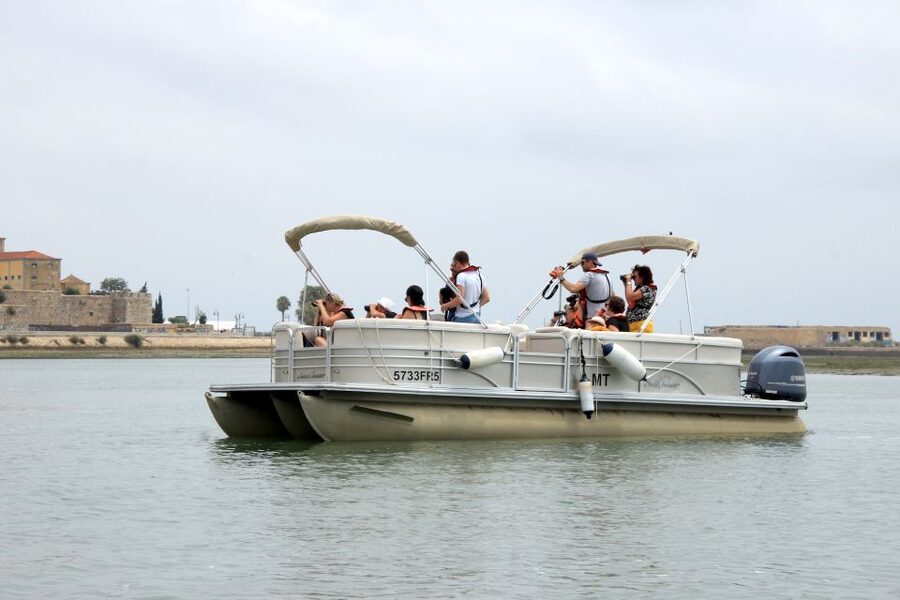 From Faro: 2-Hour Guided Bird Watching Boat Trip - The return through Faro’s waterways