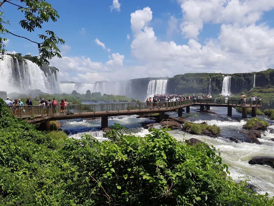 From Foz do Iguaçu: Brazilian Falls and Bird Park Tour - Key points to know before you book