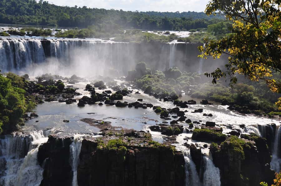 From Foz do Iguaçu: Brazilian Falls and Bird Park Tour - Why this six-hour pairing works