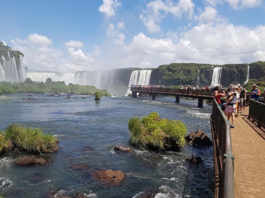 From Foz do Iguaçu: Brazilian Falls and Bird Park Tour - Entering Iguazu National Park and the Atlantic Forest