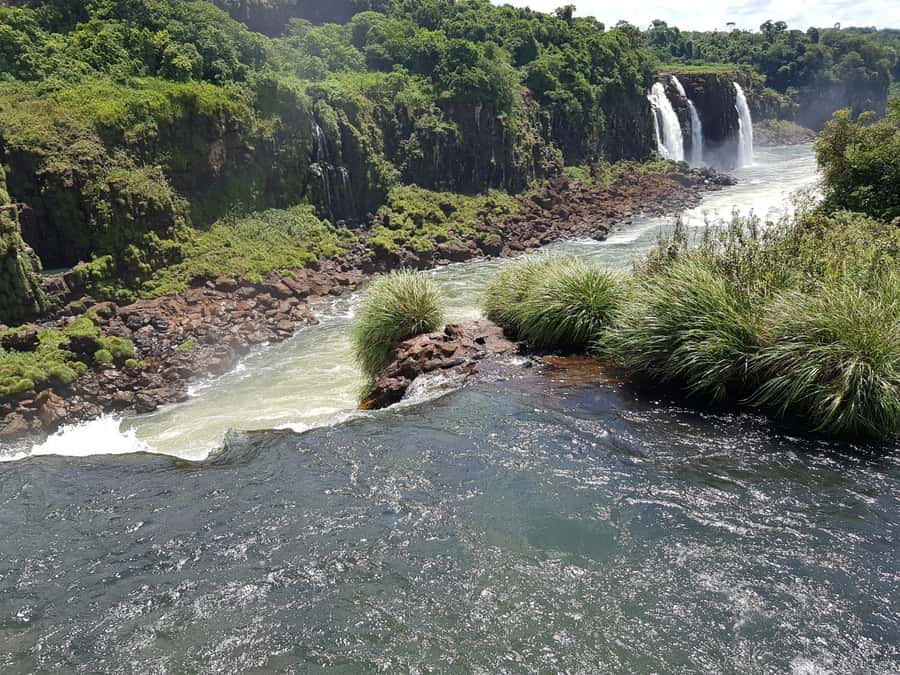 From Foz do Iguaçu: Brazilian Falls and Bird Park Tour - Price, extra fees, and the value question