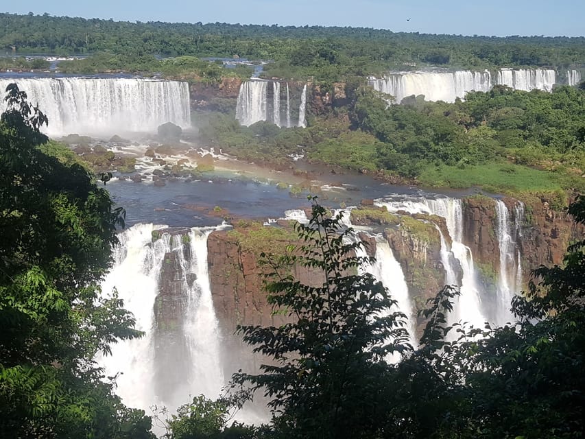 From Foz do Iguaçu: Brazilian Falls and Bird Park Tour - Who should choose this tour