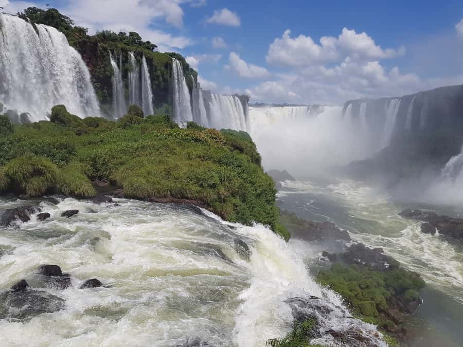 From Foz do Iguaçu: Brazilian Falls and Bird Park Tour - Starting with birds from Brazil’s Atlantic Forest
