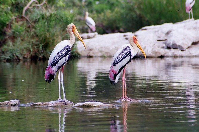 From Jaipur: Bird Safari and Agra sightseeing All-Inclusive - Why this Jaipur to Agra route makes sense