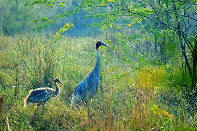 From Jaipur: Bird Safari and Agra sightseeing All-Inclusive - Starting anywhere in Jaipur