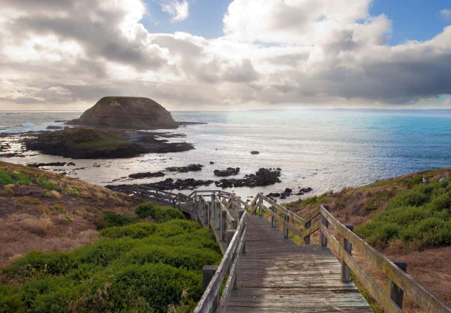 From Melbourne: Penguin Parade, Koalas & Kangaroos - Moonlit Sanctuary: the strongest daytime stop