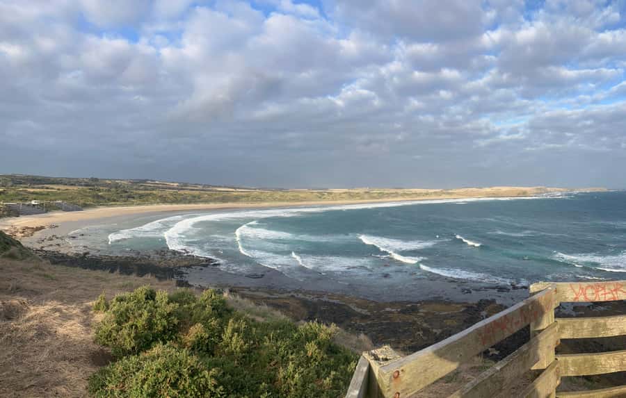 From Melbourne: Phillip Is Penguin Parade & Koala Reserve - Is the time and transport worth it?