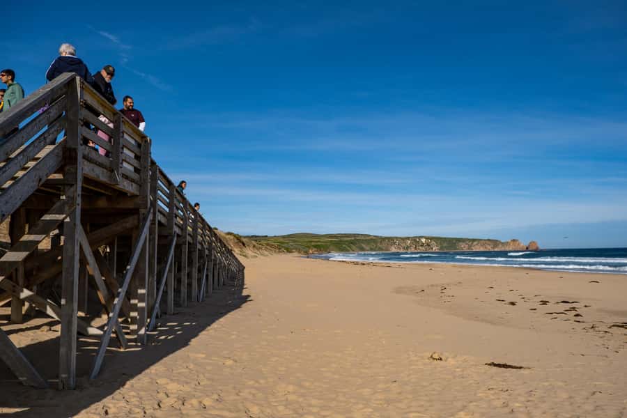 From Melbourne: Phillip Island and Penguin Parade Day Tour - Timing, food, and what to pack