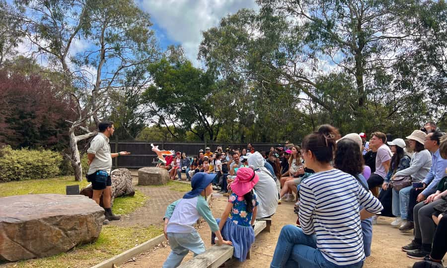 From Melbourne: Phillip Island Penguin Parade Eco Tour - Cape Woolamai in summer, cliffs and open sea
