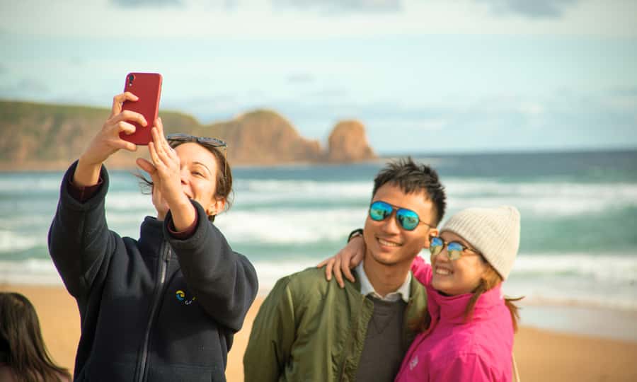 From Melbourne: Phillip Island Penguin Parade Eco Tour - Is $109 good value?