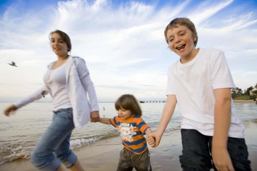 From Melbourne: Phillip Island Penguin Parade & Koalas Tour - The Penguin Parade at Summerland Beach
