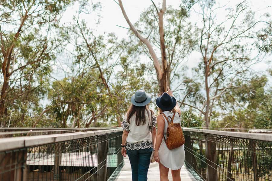 From Melbourne: Phillip Island Penguin Parade & Koalas Tour - Timing, cold weather, and the long ride home