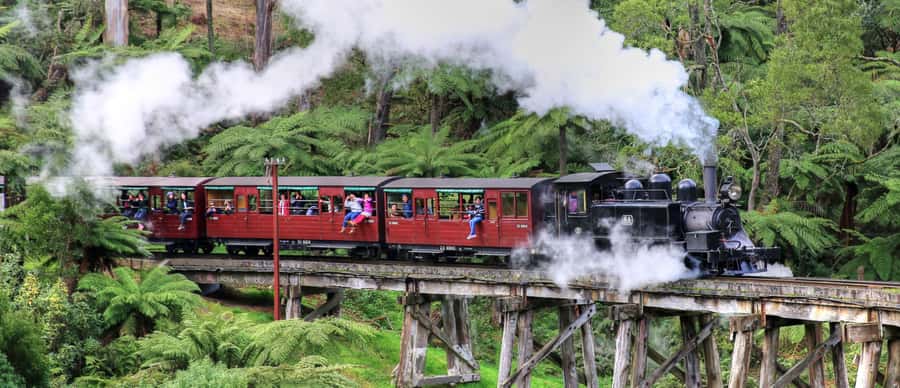 From Melbourne: Puffing Billy and Penguin Parade Combo Tour - Why this pairing works so well