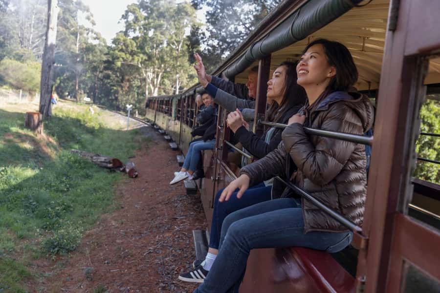 From Melbourne: Puffing Billy Train & Penguin Wildlife Tour - At a glance: the details that matter