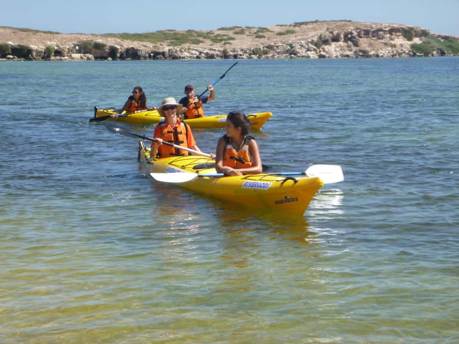 From Perth: Rockingham Seal & Penguin Islands Sea Kayak Tour - Picnic lunch, snorkeling, and island time