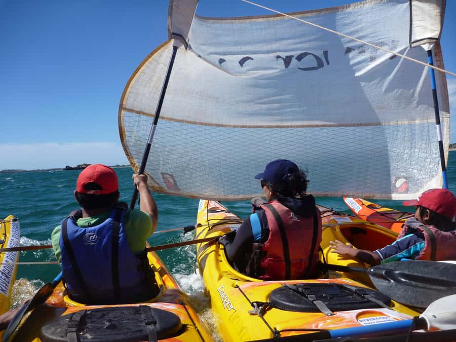 From Perth: Rockingham Seal & Penguin Islands Sea Kayak Tour - What $140 includes, and where the value lies