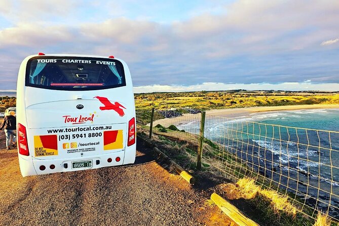 From Phillip Island: Wine and Wildlife Tour with Penguin Parade - Key details to know before booking