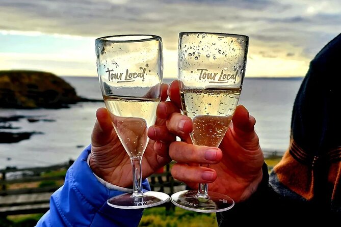 From Phillip Island: Wine and Wildlife Tour with Penguin Parade - Is $121.93 good value?
