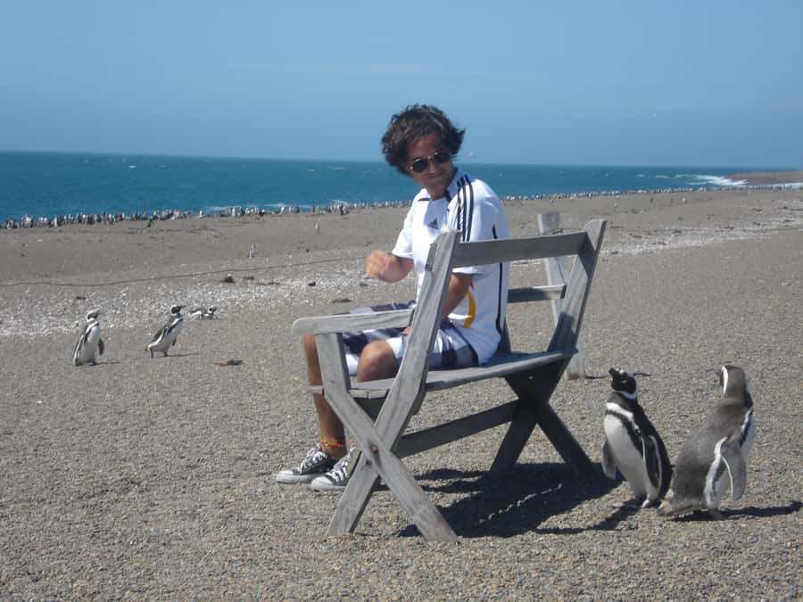 From Puerto Madryn: Penguin Tour & Península Valdés Day Trip - The day in brief