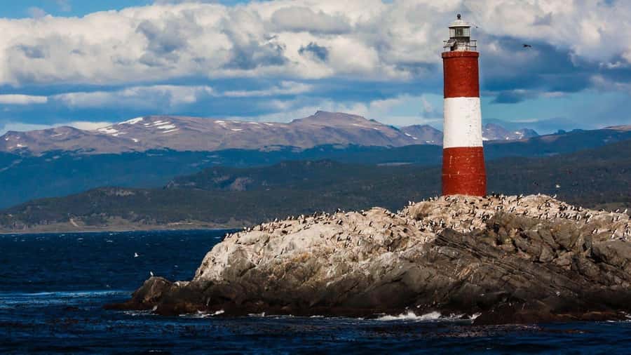 From Ushuaia: Penguin Watching Tour by Catamaran - What the five-hour schedule feels like