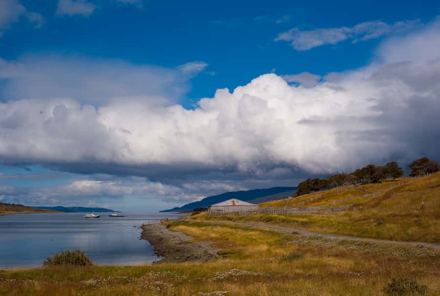From Ushuaia: Penguin Watching Tour by Catamaran - Should you book the Martillo Island catamaran?