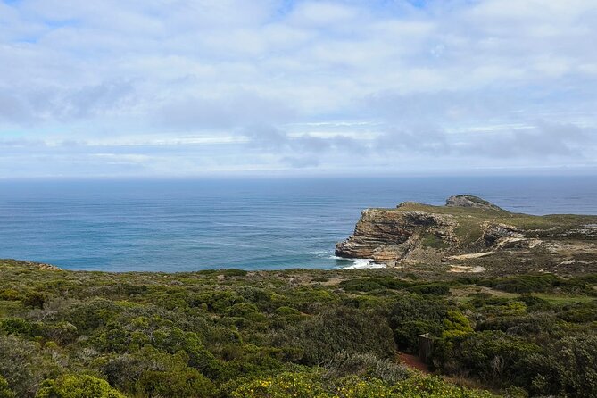 Full Day Cape of Good Hope and Boulders Beach Penguins Tour - Boulders Beach is the day’s main wildlife moment