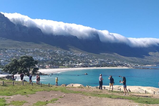 FULL Day Cape of Good Hope and Boulders Penguin Colony - Why this day trip works in Cape Town