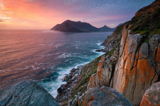 FULL Day Cape of Good Hope and Boulders Penguin Colony - Chapman’s Peak is the road you will remember
