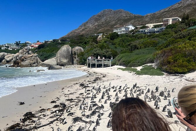 Full-Day Cape of Good Hope and Table Mountain with Penguins Tour - The Cape of Good Hope viewpoint