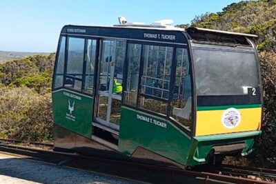 Full Day Cape Peninsula, Bo Kaap & Penguins Small Group Tour
