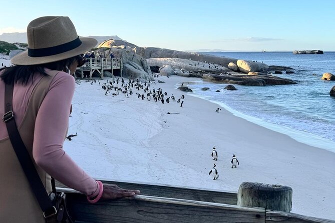 Full Day Cape Peninsula, Bo Kaap & Penguins Small Group Tour - Cape of Good Hope and Cape Point