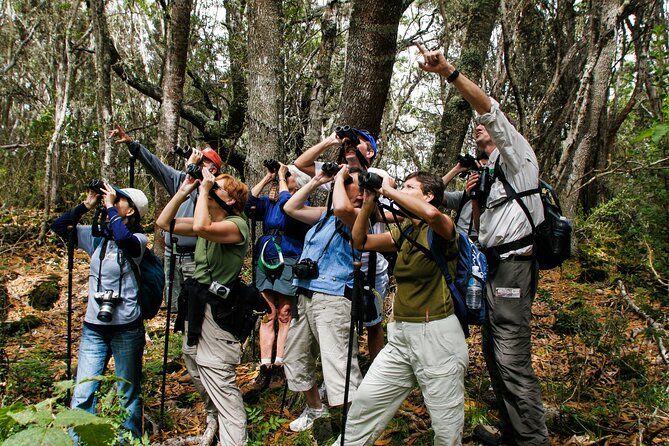Full-Day Hakalau Forest Reserve Bird Watching Adventure - Key points to know before booking