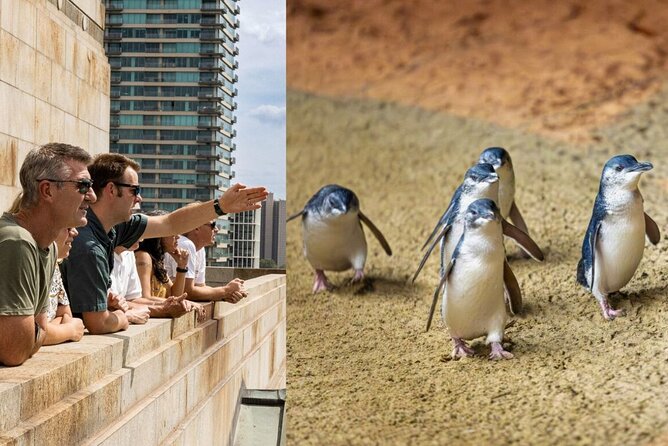 Full-day Melbourne City Sightseeing with Penguin Parade - Quick reasons to consider this tour
