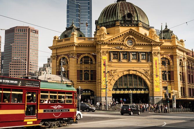 Full-day Melbourne City Sightseeing with Penguin Parade - St. Patrick’s Cathedral and Fitzroy Gardens slow the pace
