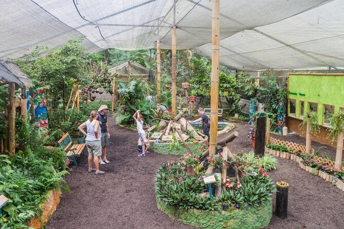 Full-Day Mindo Cloud Forest Tour Birdwatching Waterfalls and Hike - Yumbos chocolate: a relaxed finish in Mindo