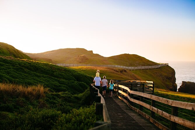 Full-Day Penguins and Wildlife Nature Experience from Melbourne - Why this Melbourne day trip works