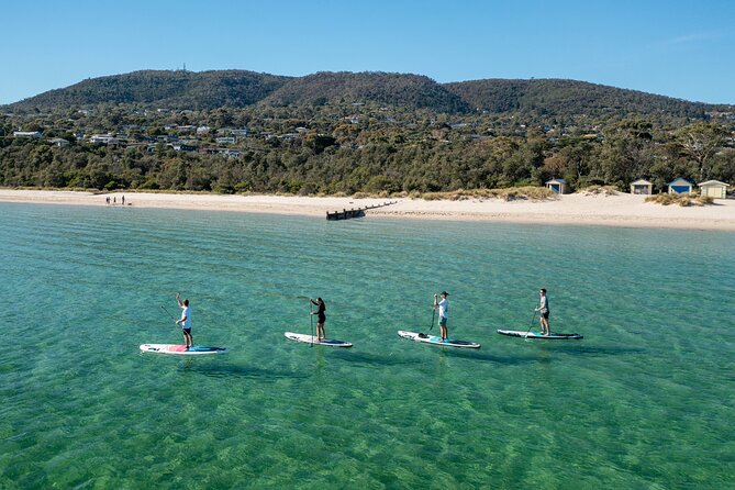Full-Day Penguins and Wildlife Nature Experience from Melbourne - Cowes: dinner and a useful break