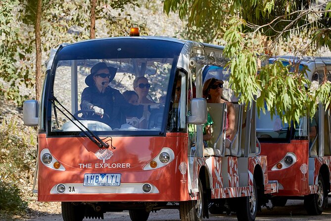 Full-Day Penguins and Wildlife Nature Experience from Melbourne - What the long transport day feels like