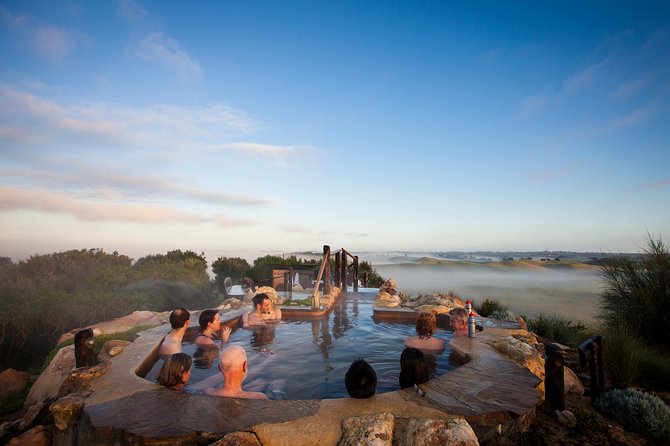 Full-Day Penguins and Wildlife Nature Experience from Melbourne - Price, inclusions, and real value