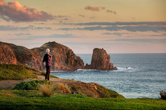 Full-Day Phillip Island Tour with Kangaroo, Koala and Penguin Parade - Guides, driving and the group experience