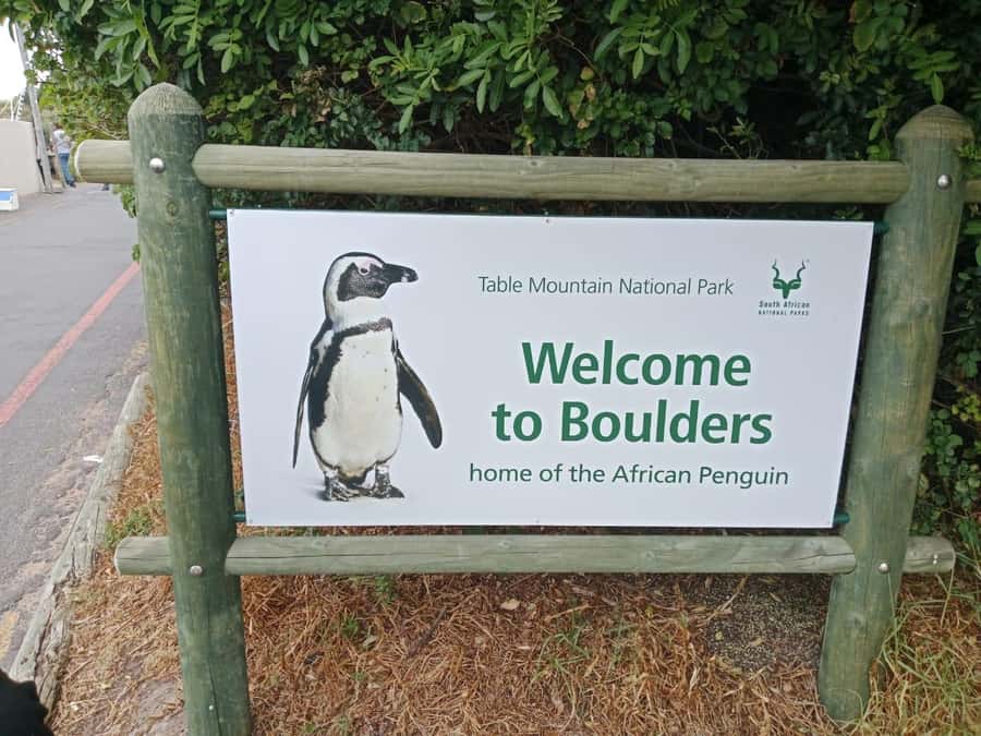 Full-Day Private Excursion: Cape of Good Hope and Penguins - Simon’s Town is the right place for lunch