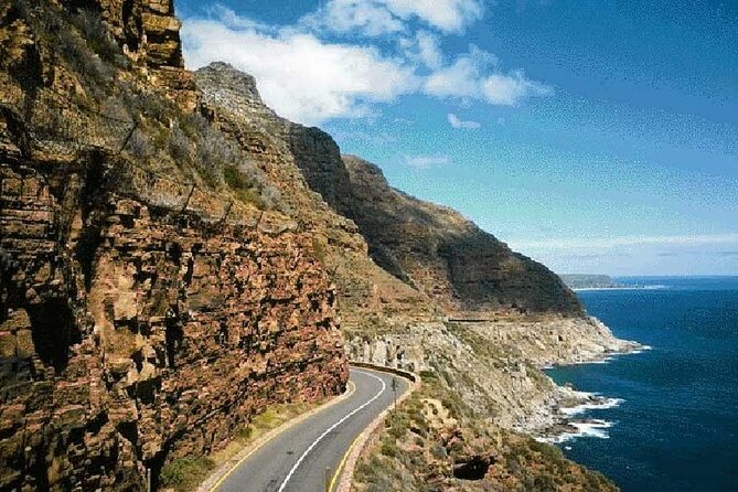 Full Day Private Tour of the Cape Peninsula and Boulders Penguins - A full Cape Peninsula day from Cape Town