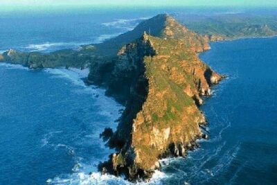 Full Day Private Tour of the Cape Peninsula and Boulders Penguins