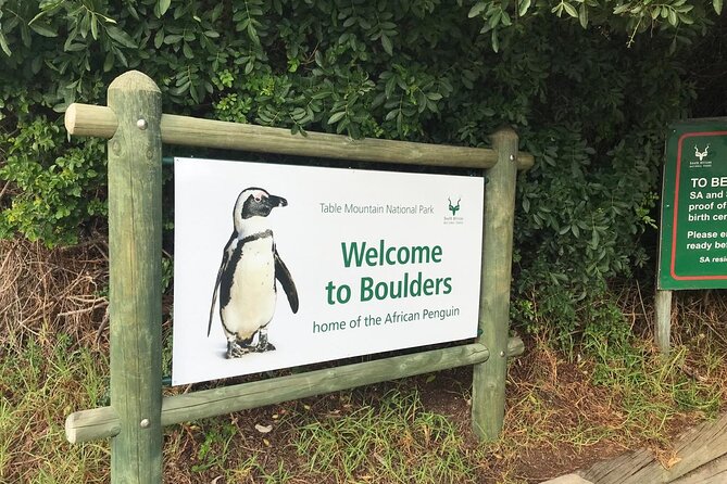 Full Day Private Tour of the Cape Peninsula and Boulders Penguins - Cape of Good Hope: open coast and walking time