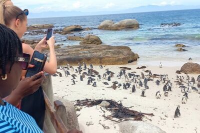 Full-Day Tour to Cape of Good Hope & Penguins from Cape Town