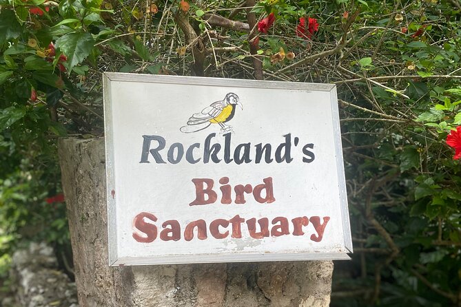 Great River Bamboo Rafting and Bird Sanctuary Combine Tour From Montego Bay - What the $120 price really covers