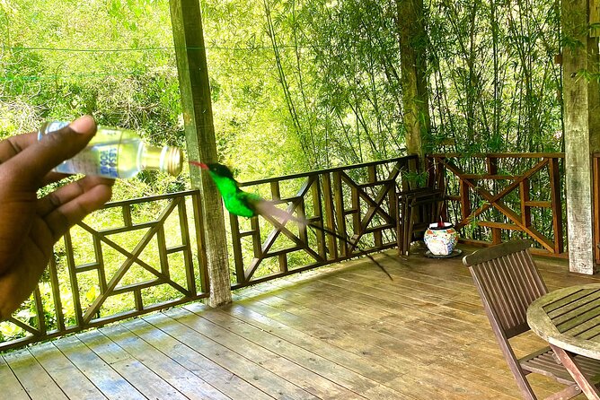 Great River Bamboo Rafting and Bird Sanctuary Combine Tour From Montego Bay - Who will enjoy this experience most