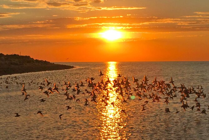 Great Salt Lake Birding and Nature Adventure - Farmington Bay and the fresh-salt water mix