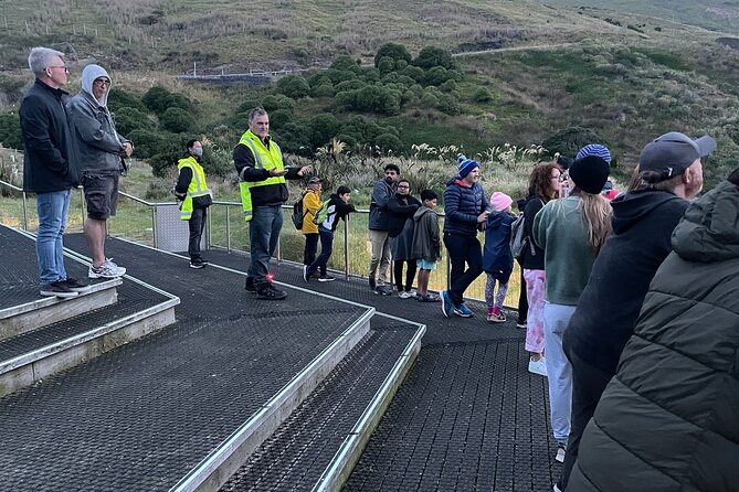 Guided Evening Penguin Viewing Otago Peninsula, Dunedin, New Zealand - Photography is allowed, but the rules matter